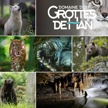Dom wakacyjny Le Forestier - Moderne & Confort - Balneo Netflix Gratuit Bbq Terrasse -animaux Bienvenus Hastiere-par-dela