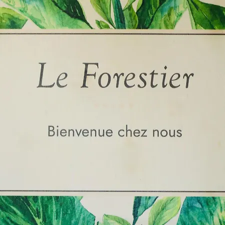 Le Forestier - Moderne & Confort - Balneo Netflix Gratuit Bbq Terrasse -animaux Bienvenus