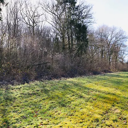 Le Forestier - Moderne & Confort - Balneo Netflix Gratuit Bbq Terrasse -animaux Bienvenus *