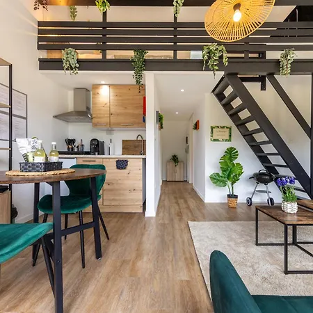 Le Forestier - Moderne & Confort - Balneo Netflix Gratuit Bbq Terrasse -animaux Bienvenus Hastiere-par-dela